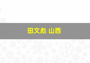 田文彪 山西